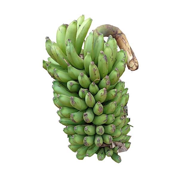 Banana (Etooke)