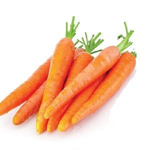 Fresh Carrots